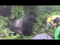 Tense_encounter