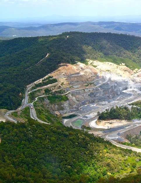 deforestacion_gorilas