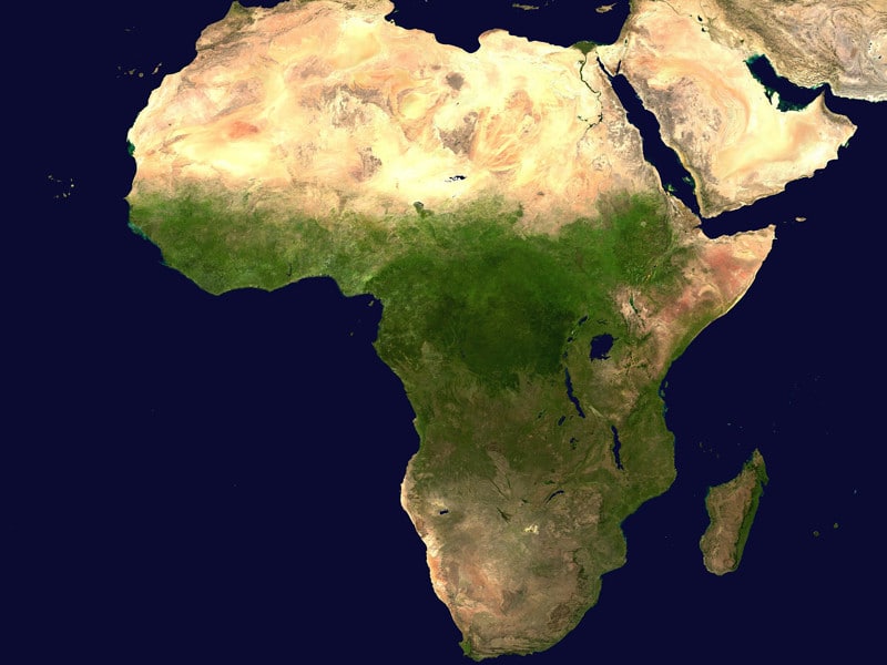 Distribution of gorillas.